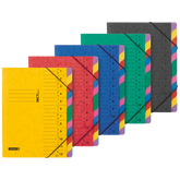 Ordnungsmappe FACT!plus | A4, 12 Fächer, sortiert